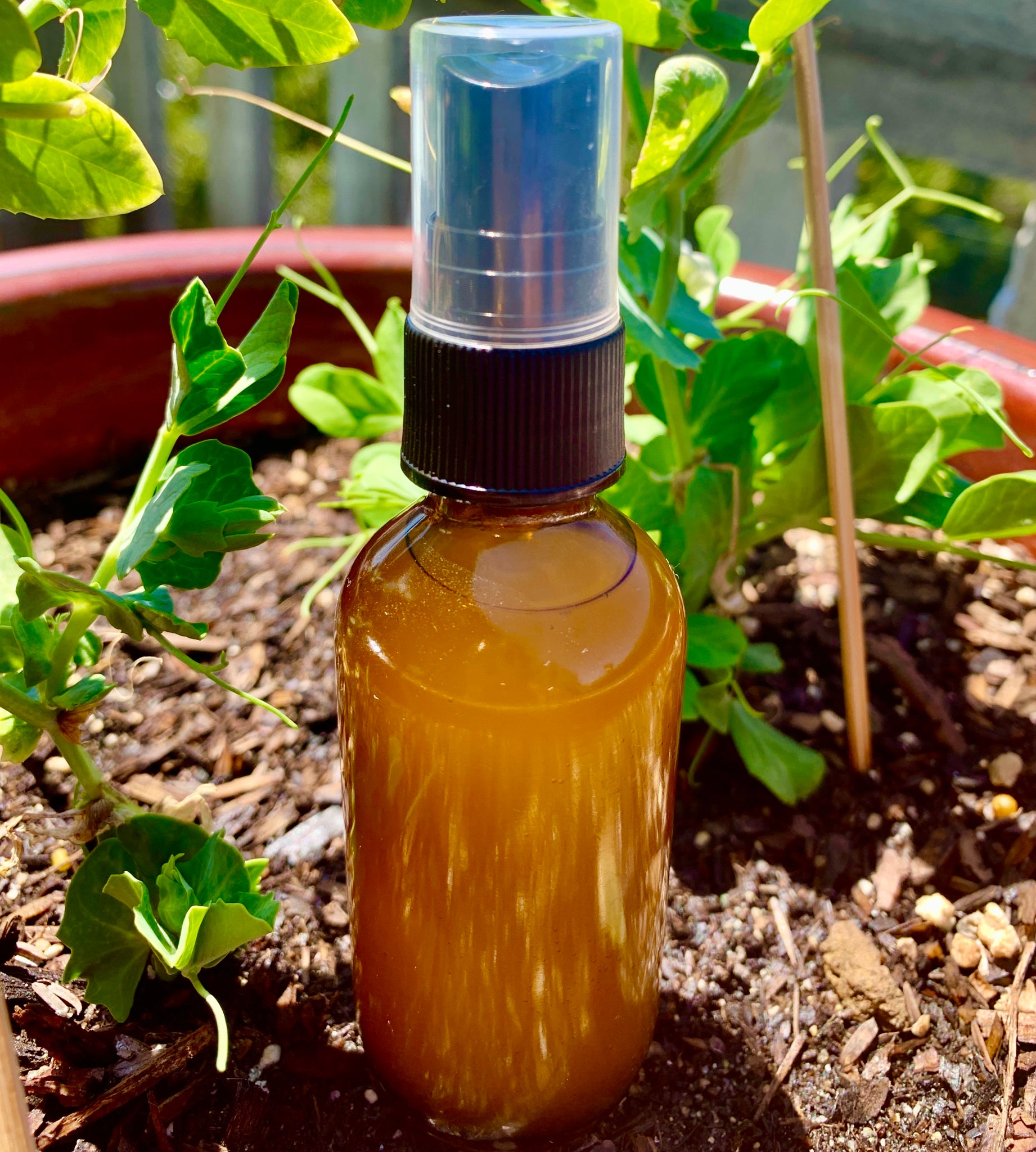 BYE BYE BUGABOO NATURAL BUG SPRAY – Audiopharmacy Shop